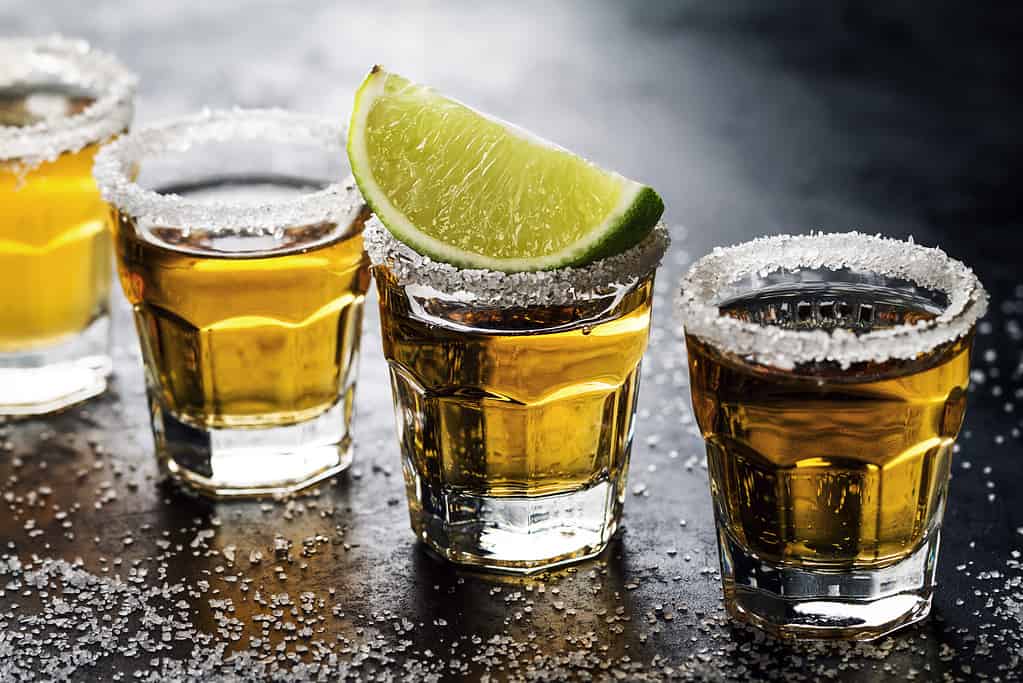 how much alcohol is in tequila