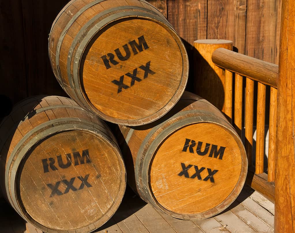 how much does rum cost